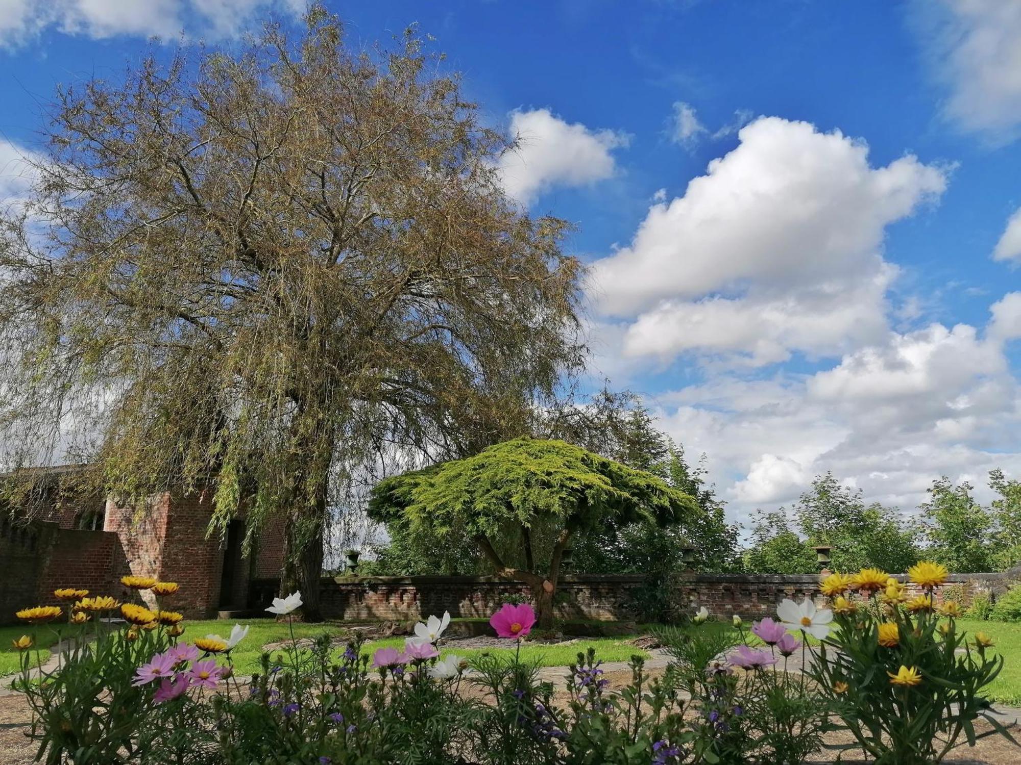Bed and Breakfast Le Relais Napoleon Avesnes-sur-Helpe Екстер'єр фото